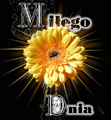 Miłego dnia gerbera